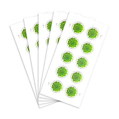 2017 Global Green Succulent  Forever First Class U.S Postage Stamps