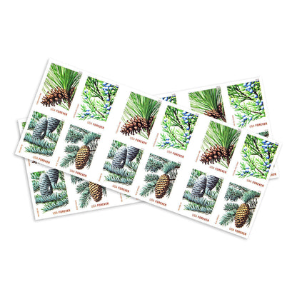 2010 Holiday Evergreens Forever First Class Postage Stamps