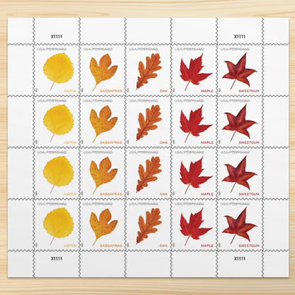 2025 Vibrant Leavea Postcard Forever First Class Postage Stamps (For Postcard Only)