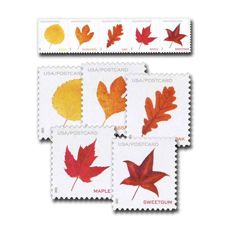 2025 Vibrant Leavea Postcard Forever First Class Postage Stamps (For Postcard Only)