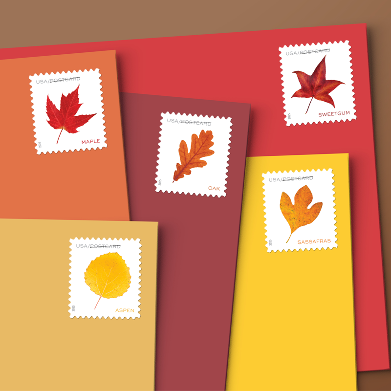 2025 Vibrant Leavea Postcard Forever First Class Postage Stamps (For Postcard Only)