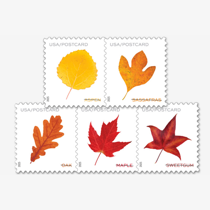 2025 Vibrant Leavea Postcard Forever First Class Postage Stamps (For Postcard Only)