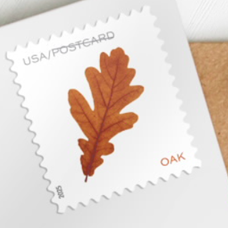 2025 Vibrant Leavea Postcard Forever First Class Postage Stamps (For Postcard Only)