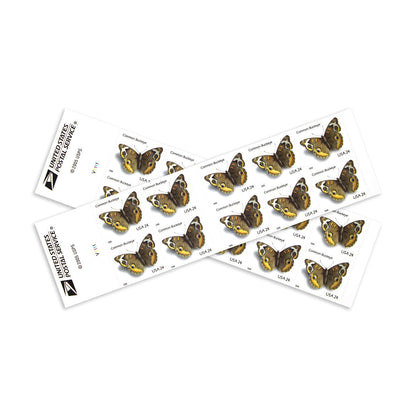 2006 Common Buckeye Butterfly  First Class Postage Stamps (Value Stamp Not Forever)