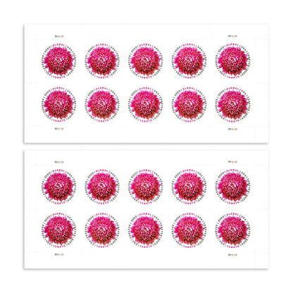 2020 Global Chrysanthemum International  First Class Forever US Postage Stamps