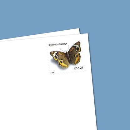 2006 Common Buckeye Butterfly  First Class Postage Stamps (Value Stamp Not Forever)