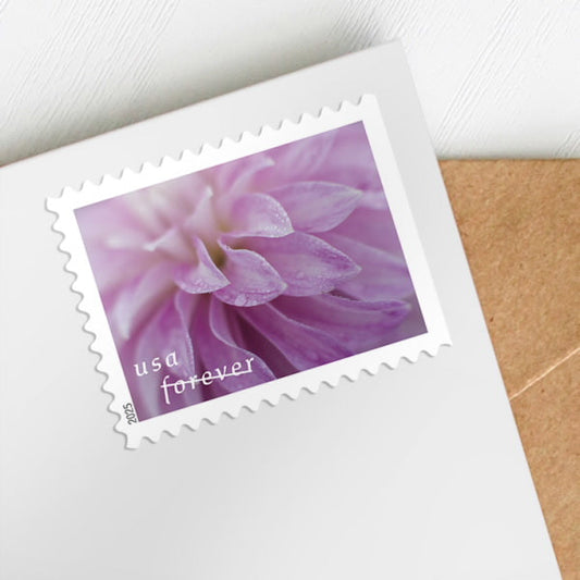 2025 Dahlias Stamps Forever First Class Postage Stamps