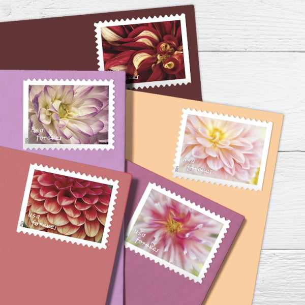 2025 Dahlias Stamps Forever First Class Postage Stamps