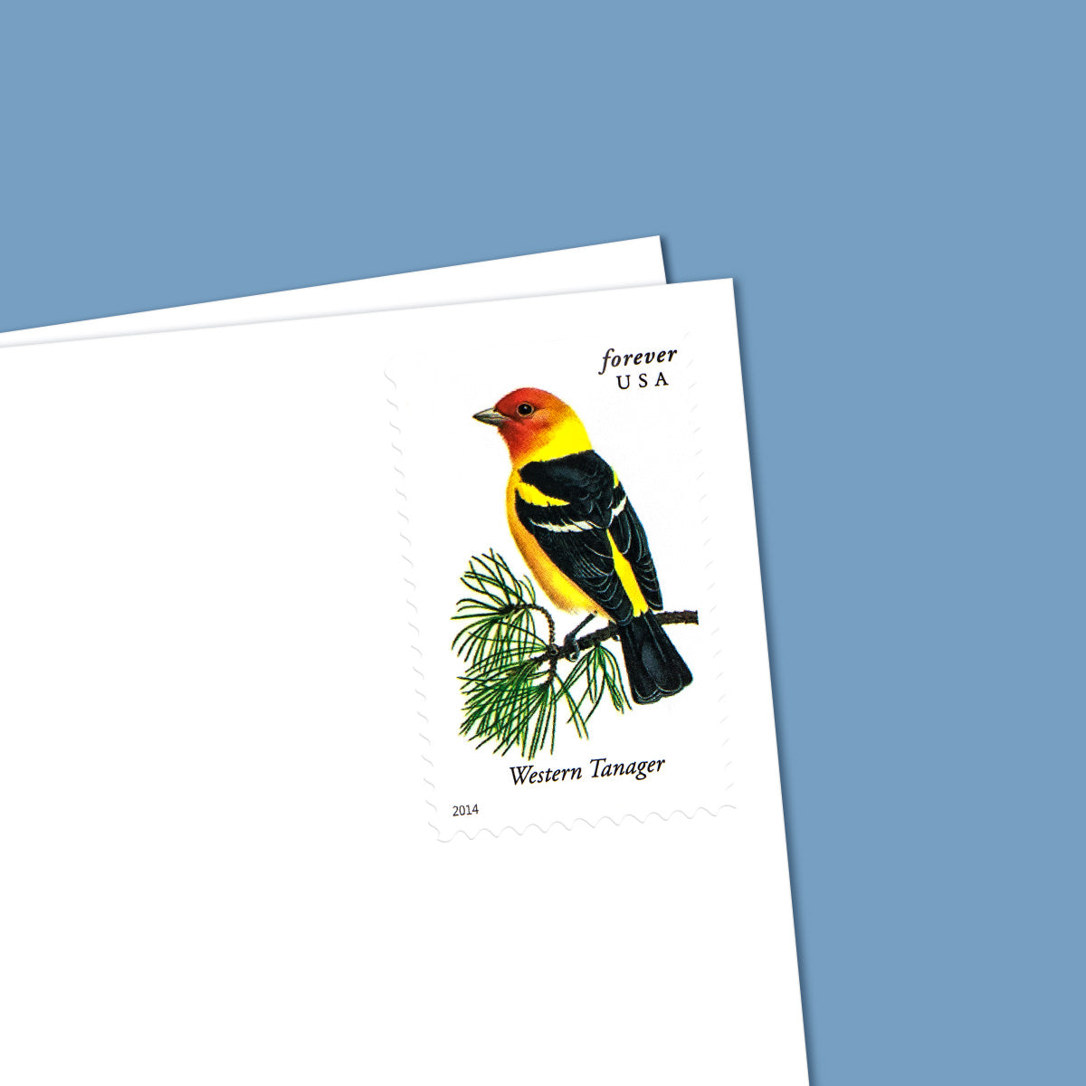 2014 Imperforate Songbirds Forever First Class Postage Stamps