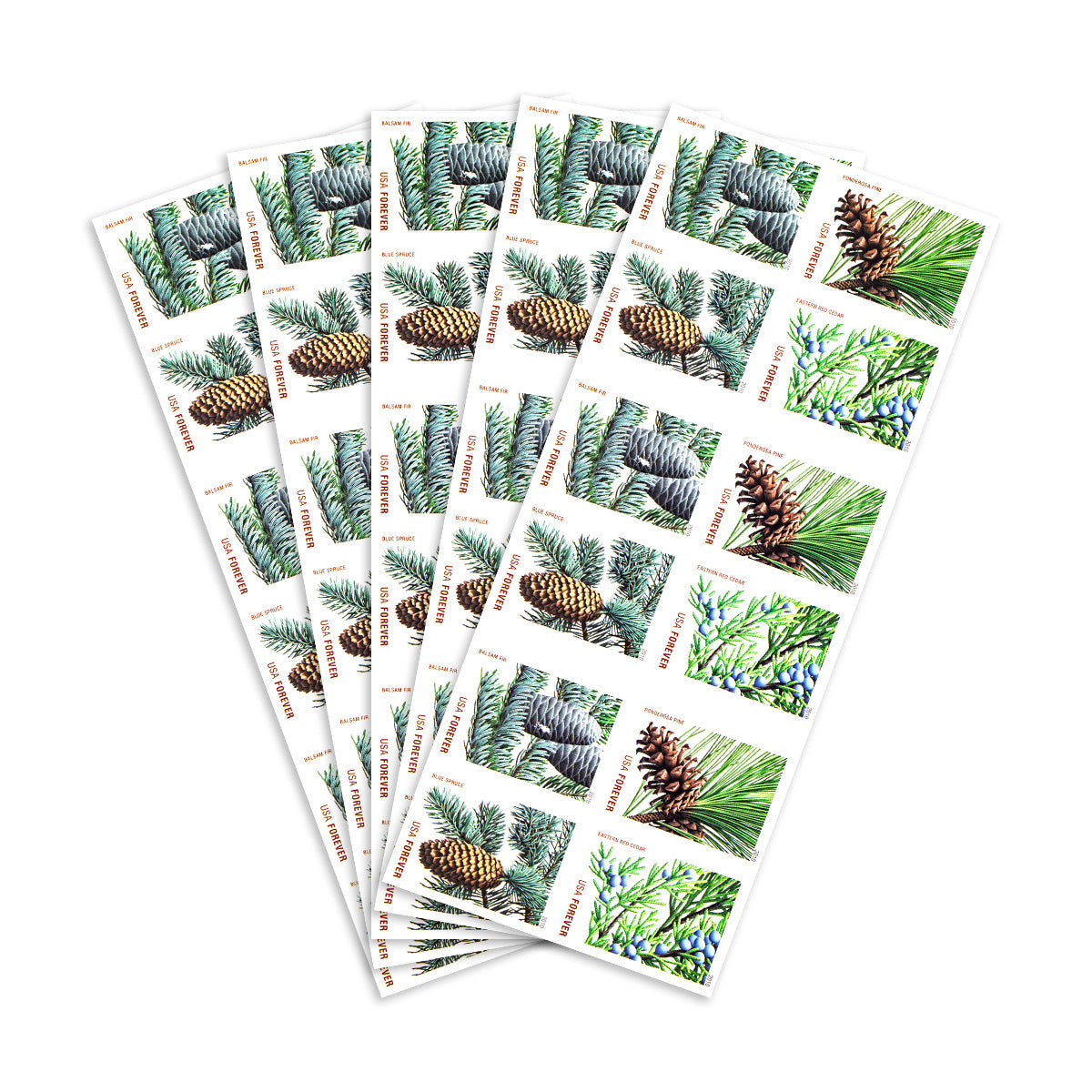 2010 Holiday Evergreens Forever First Class Postage Stamps